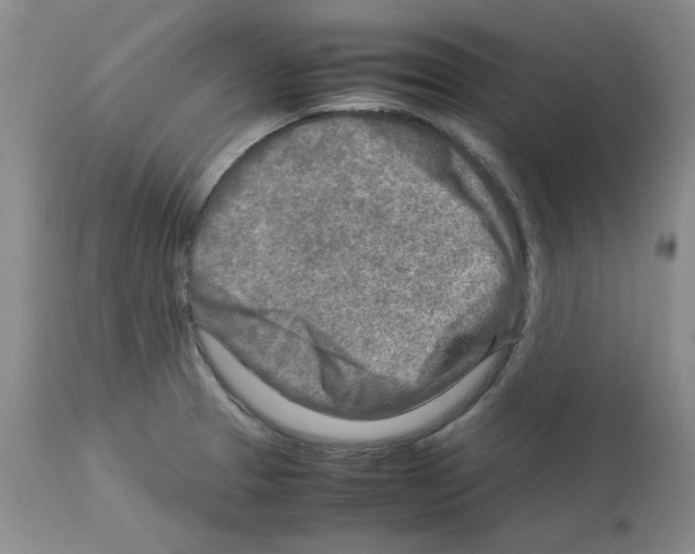 X0000112731329200910011147