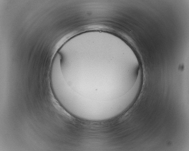X0000112731330200910011147