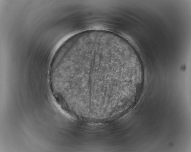 X0000112731331200910011147
