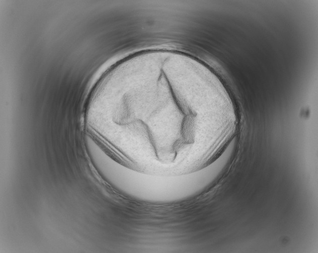 X0000112731332200910011147