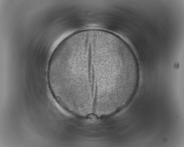X0000112731333200910011147