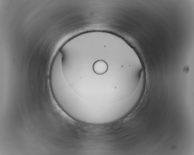 X0000112731334200910011147