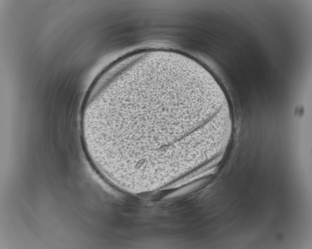 X0000112731335200910011147