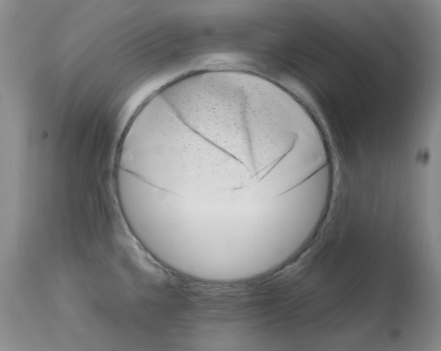 X0000112731336200910011147
