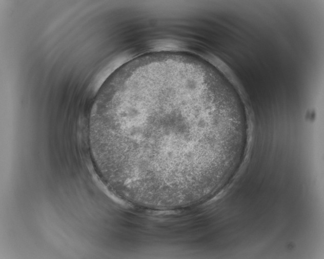 X0000112731337200910011147