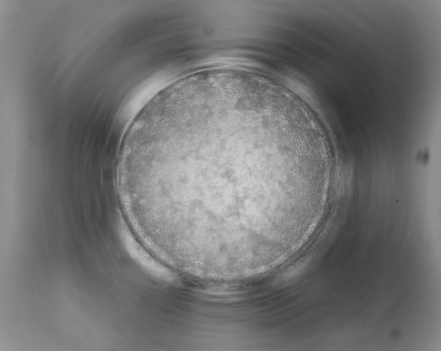X0000112731338200910011147