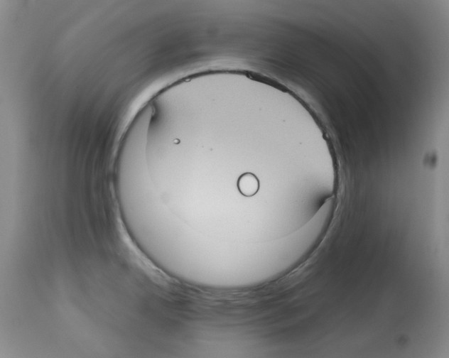 X0000112731342200910011147