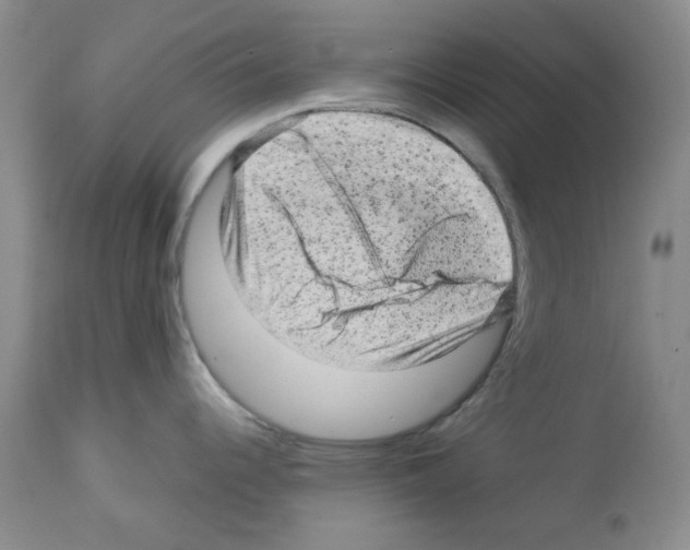 X0000112731344200910011147