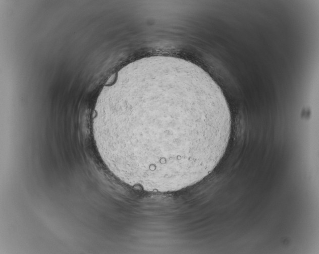 X0000112731346200910011147