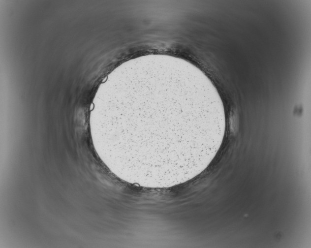 X0000112731347200910011147