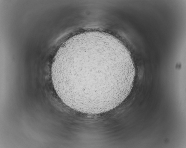 X0000112731350200910011147