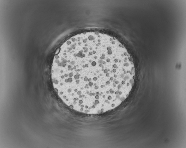 X0000112731351200910011147