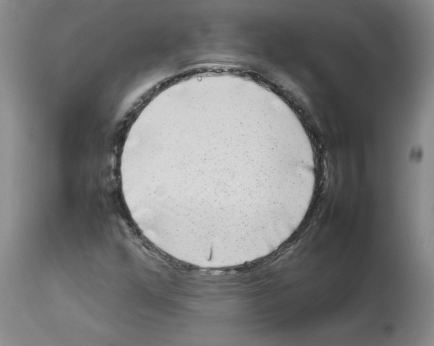 X0000112731352200910011147