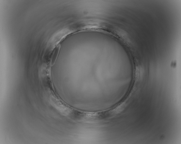 X0000112731353200910011147