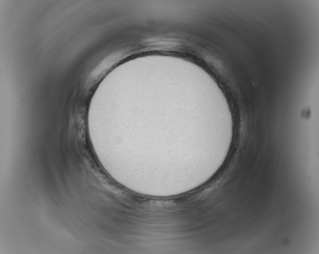 X0000112731354200910011146