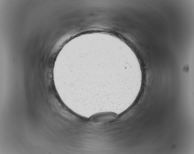 X0000112731355200910011146