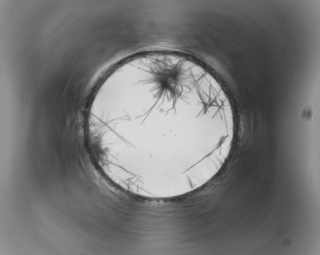 X0000112731356200910011146