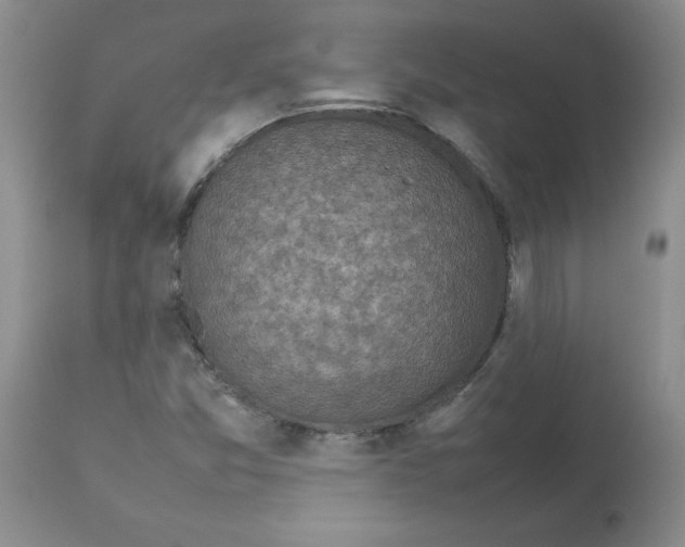 X0000112731357200910011146