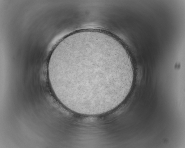 X0000112731358200910011146