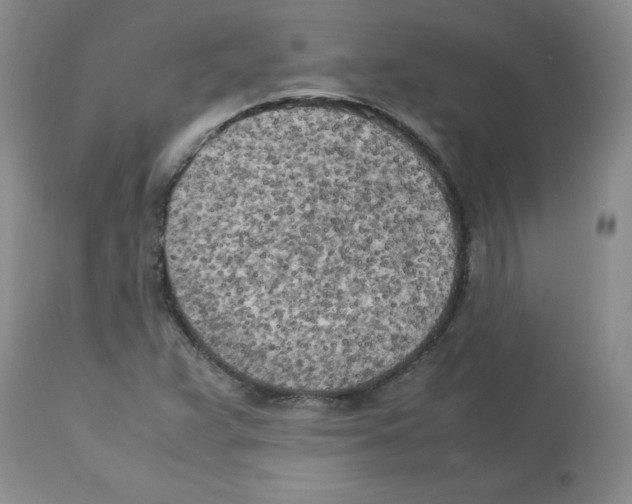 X0000112731359200910011146
