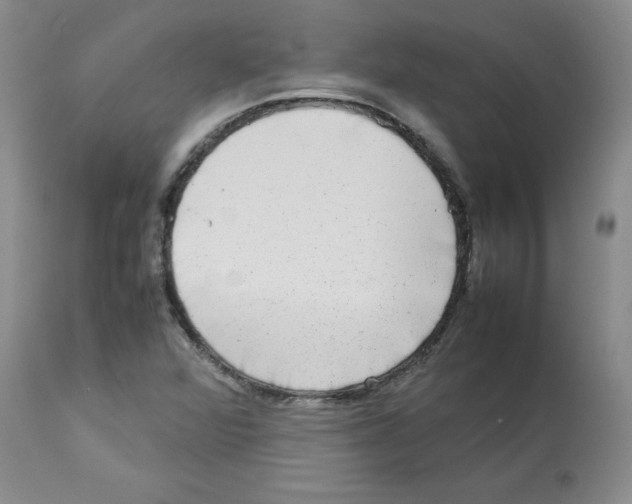 X0000112731360200910011146