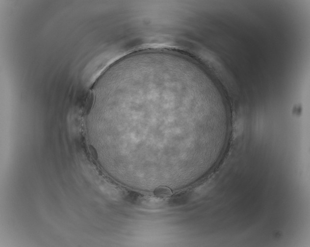 X0000112731361200910011146