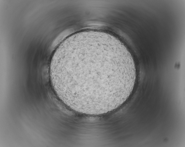 X0000112731362200910011146