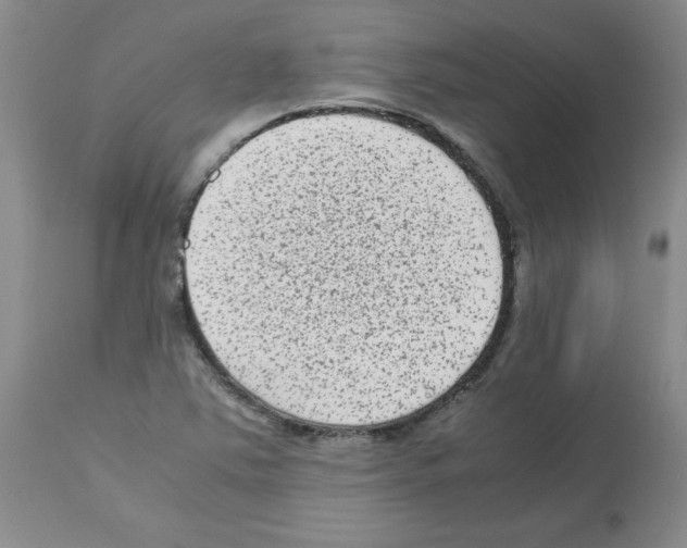 X0000112731363200910011146