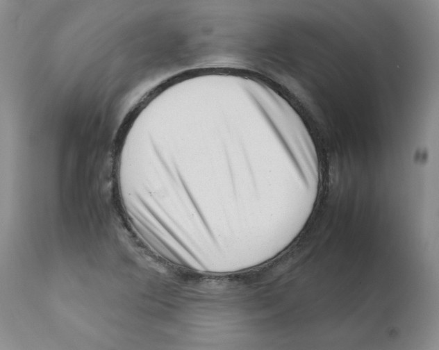 X0000112731364200910011146