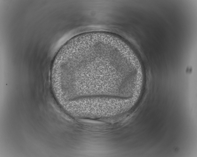 X0000112731365200910011146
