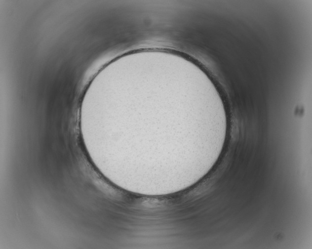 X0000112731366200910011146