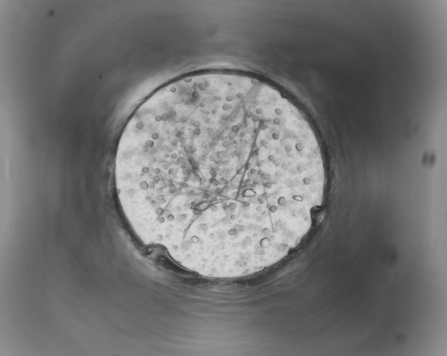 X0000112731367200910011146