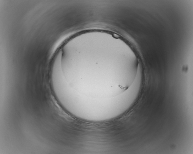 X0000112731368200910011146
