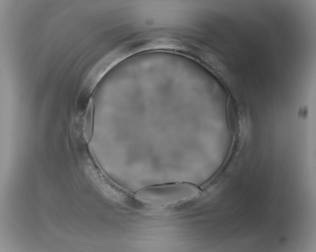 X0000112731369200910011146