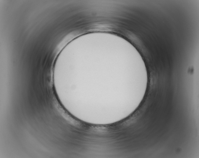 X0000112731370200910011146