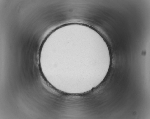X0000112731372200910011146
