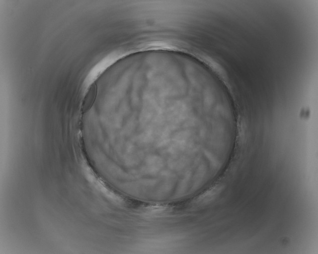 X0000112731373200910011146