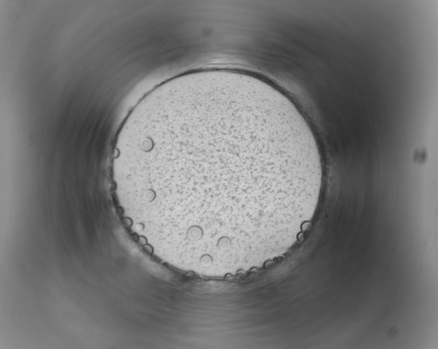 X0000112731374200910011146