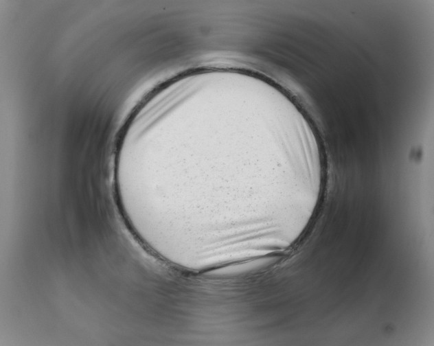 X0000112731376200910011146
