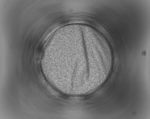 X0000112731377200910011146