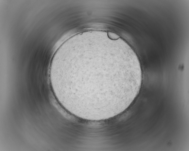 X0000112731378200910011146