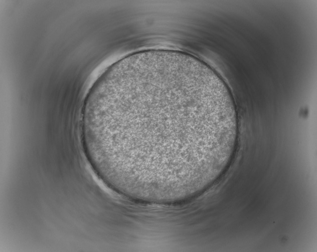 X0000112731379200910011146
