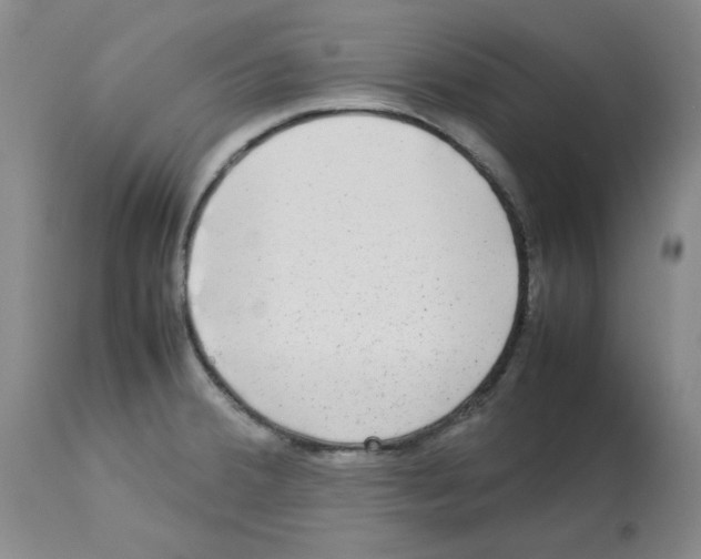 X0000112731380200910011146