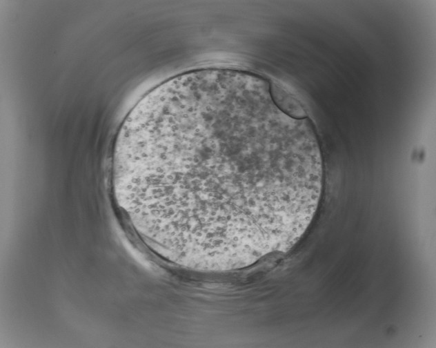X0000112731383200910011146