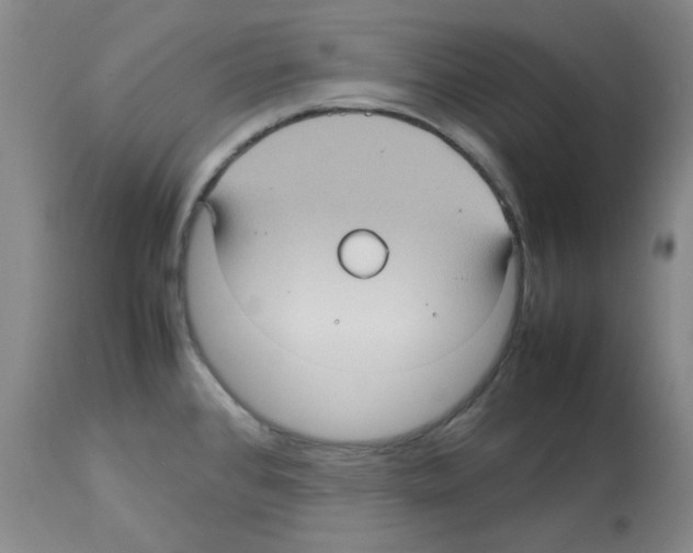 X0000112731384200910011146