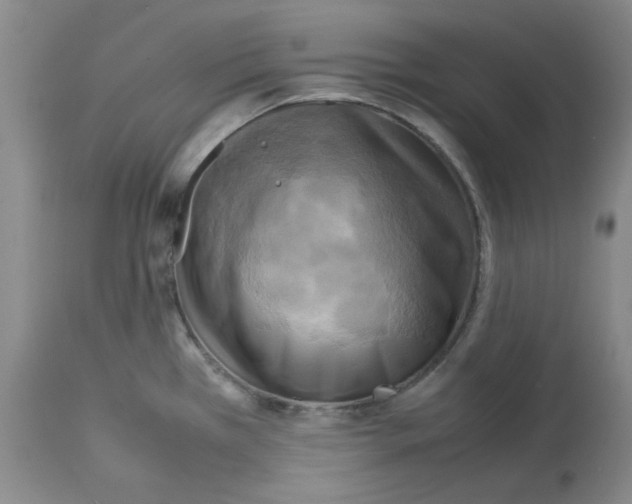 X0000112731385200910011146