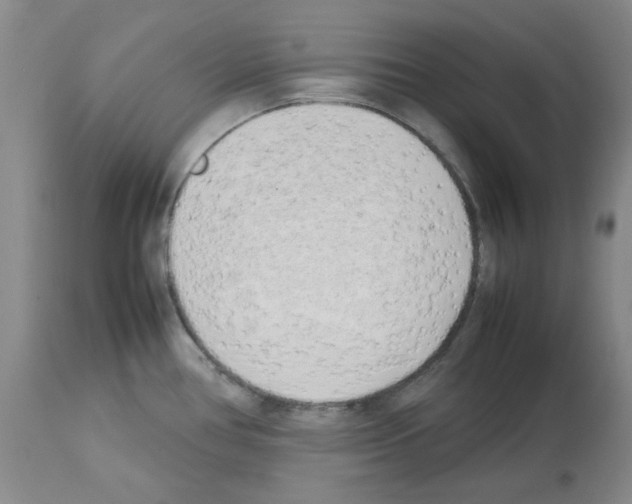 X0000112731386200910011146
