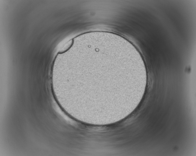 X0000112731387200910011146