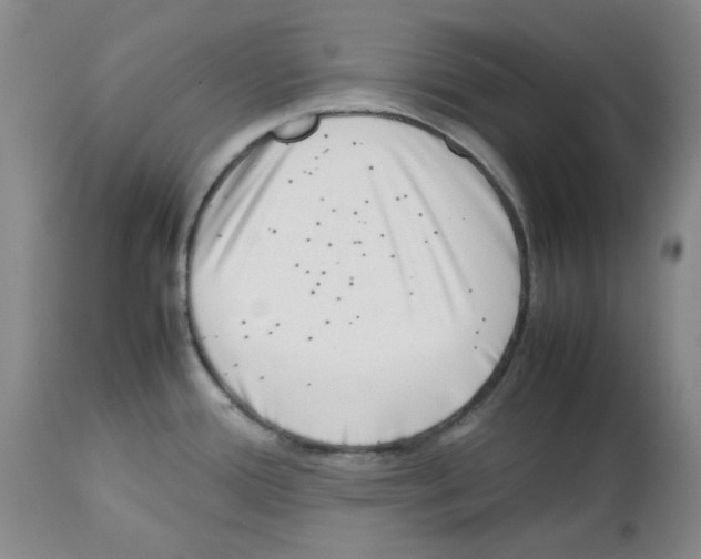 X0000112731388200910011146