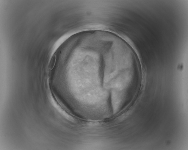 X0000112731389200910011146